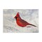 Stupell Industries Red Cardinal in Snow Canvas Design by Stephanie Fielden